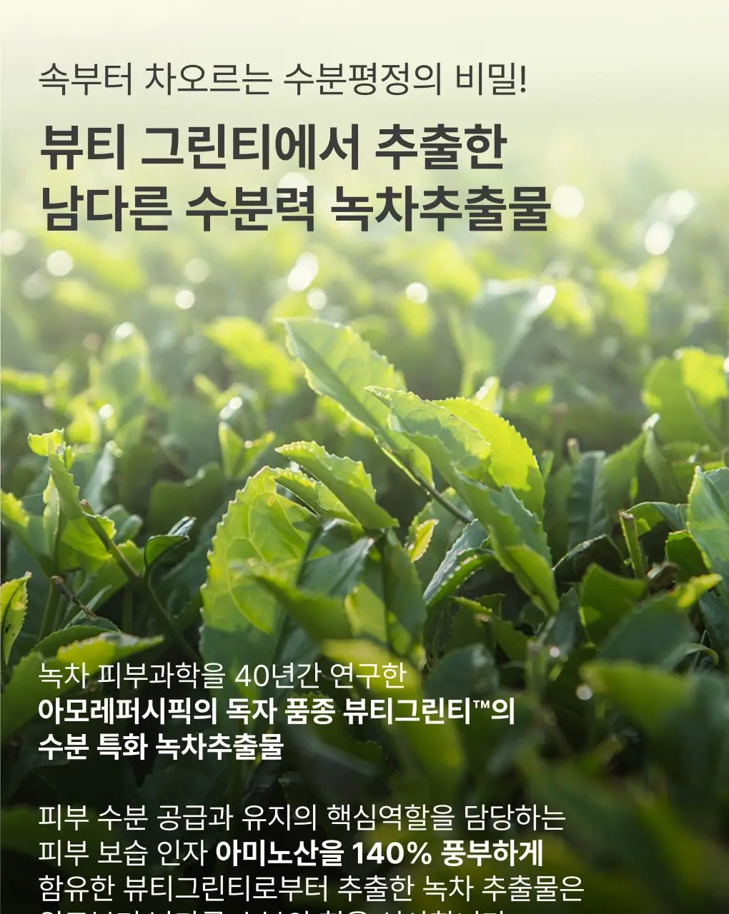 [수분/보습] 이니스프리 그린티 씨드 히알루론산 수분 세럼 80ml 기획 (+25ml) 상세페이지 17